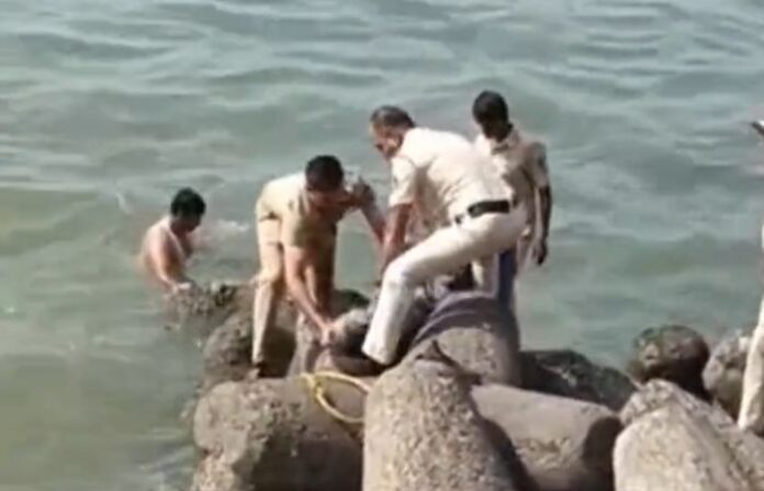 marine drive 1