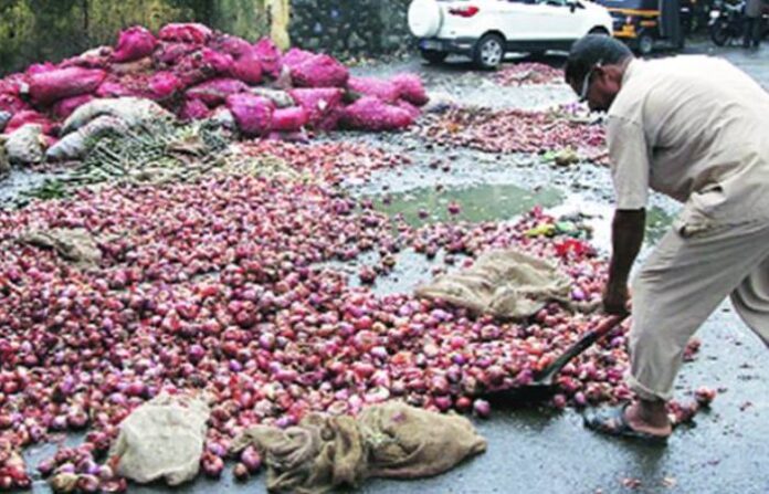 onion2