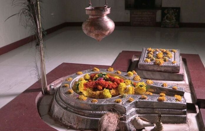 vithoba10