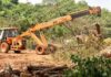 aarey-forest