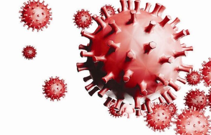 corona virus