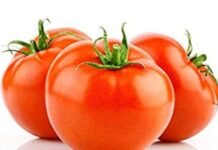 त्वचेसाठी टोमॅटोचा वापर कसा करायला हवा? वाचा