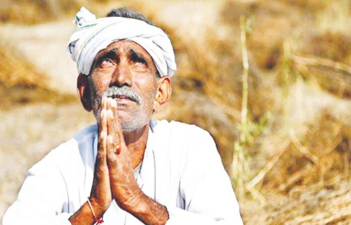 FARMER