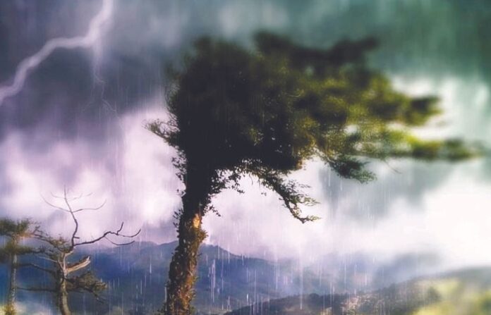 Untitled design (5)