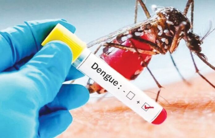 dengue