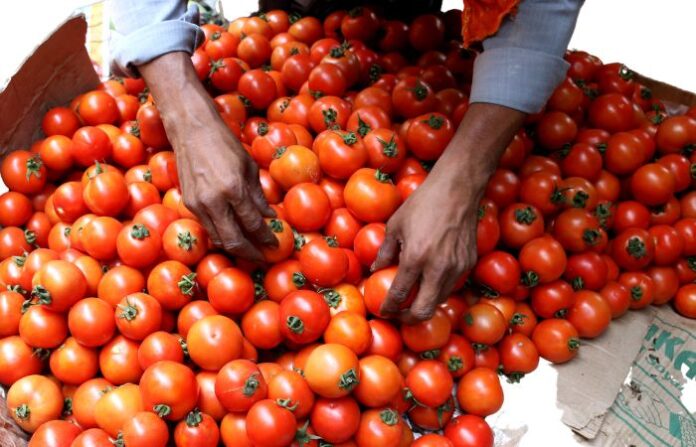 TOMATO