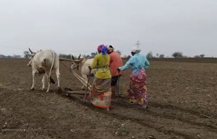 chandrapur-farmers