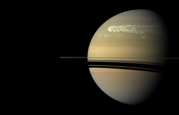 great white spots saturn
