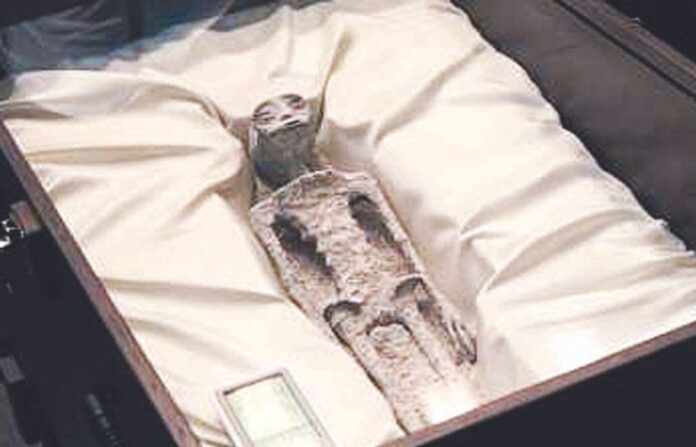 Alien mummy