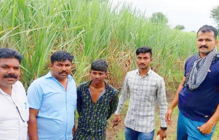 JALNA