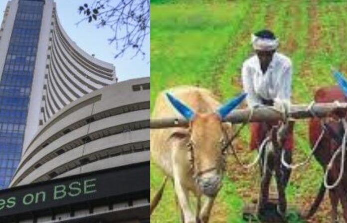 share farmer