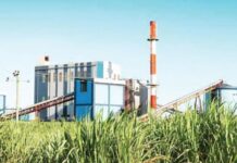 ऊस बिले जमा करण्यास कारखान्यांकडून टाळाटाळ, उताऱ्यातही गोलमाल; स्वाभिमानीचा आरोप