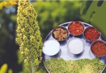 रंगू लागली हुरडा पार्टी