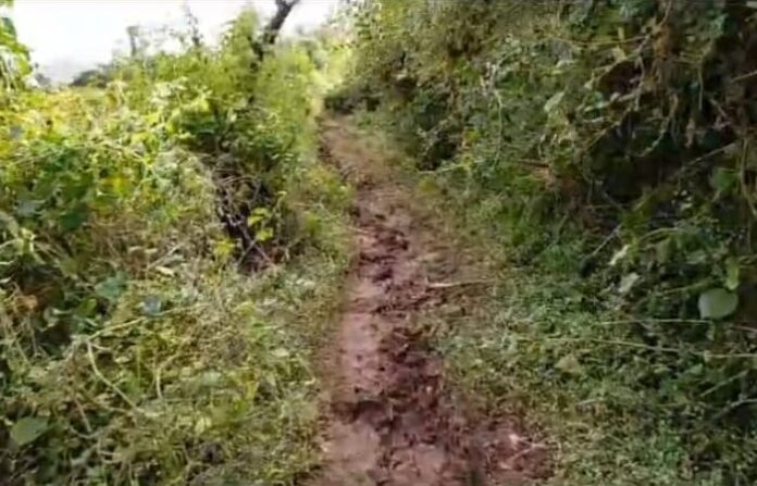 road