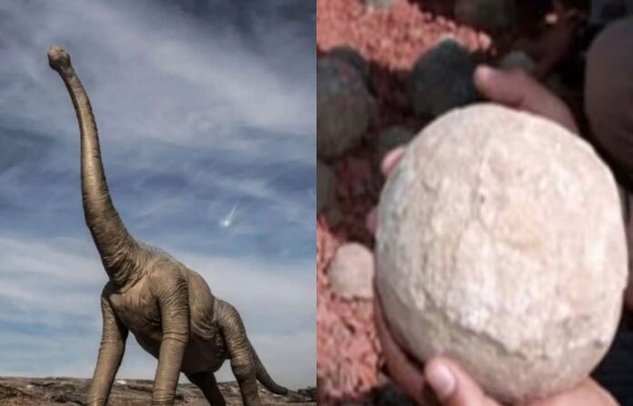 dinosaur
