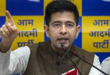 AAP MP Raghav Chadha