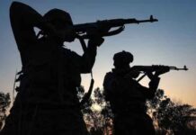 जम्मू-कश्मीरच्या वनक्षेत्रात दहशतवाद्यांचा तळ उध्वस्त; रायफल आणि २२ जिवंत काडतूसे जप्त