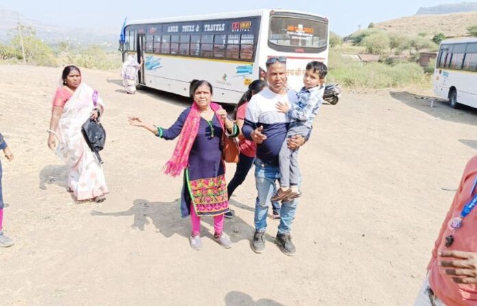 Bees attack tourists visiting caves in Junnar