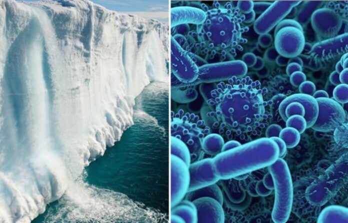 virus under glaciers 2