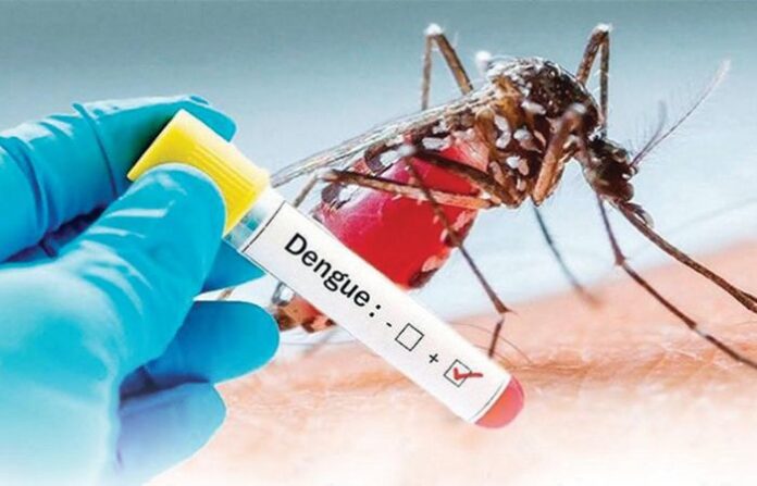 Dengue