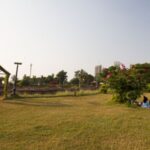 hamhimg garden (1)