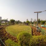 hanging garden
