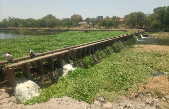 Water pollution of Indrayani river