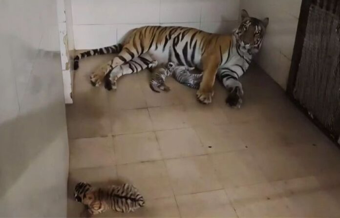 gwalior zoo