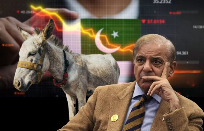 pakistan gdp