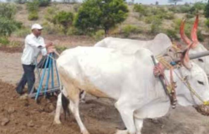 parner-farmer