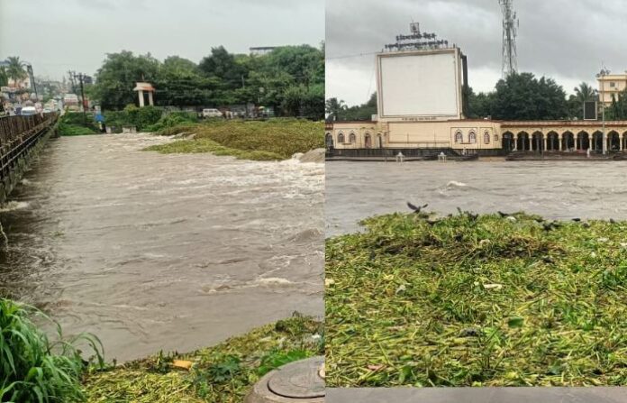 alandi flood