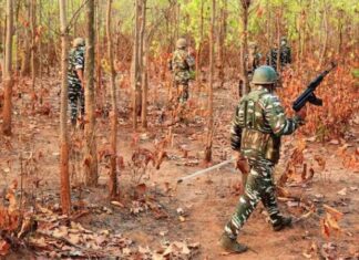 छत्तीसगडमध्ये सुरक्षादल आणि नक्षलवाद्यांमध्ये चकमक, 3 नक्षलवाद्यांचा खात्मा
