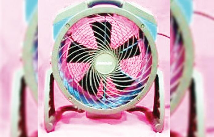 fan