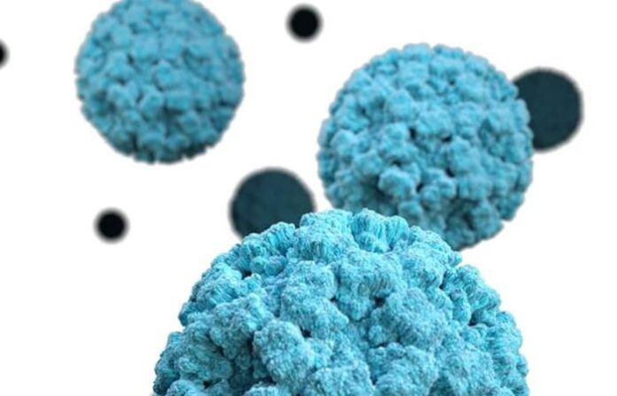 norovirus