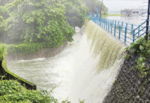 पवई तलावाचे पाणी पिता येणार; जलशुद्धीकरण केंद्र उभारण्याचा पालिकेचा मेगा प्लॅन