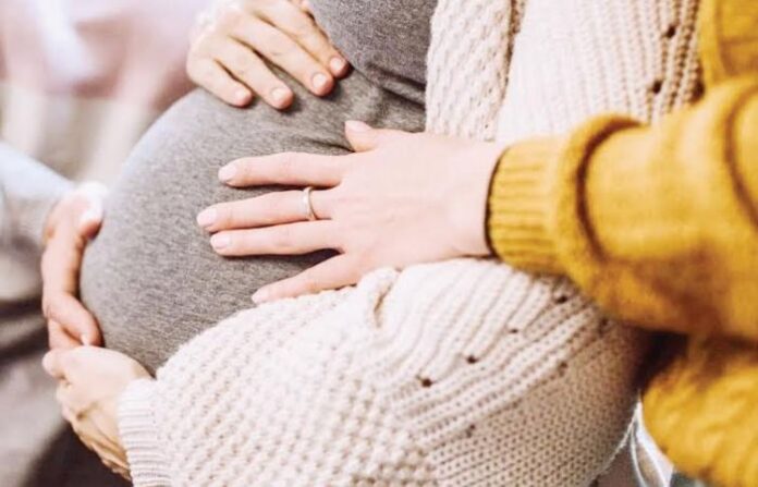 surrogacy