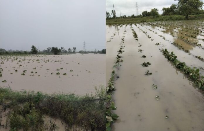 wardha rain