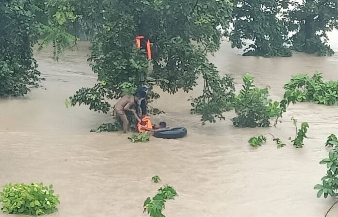 wardha rescued