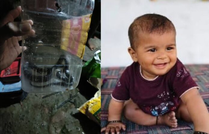 yavatmal snake bite