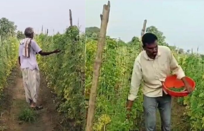 Chandrapur Farmer Story