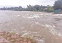भंडारदरा निम्मे भरले; मुळा नदीला पूर