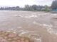 भंडारदरा निम्मे भरले; मुळा नदीला पूर