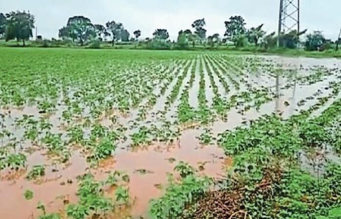 Satara (1)