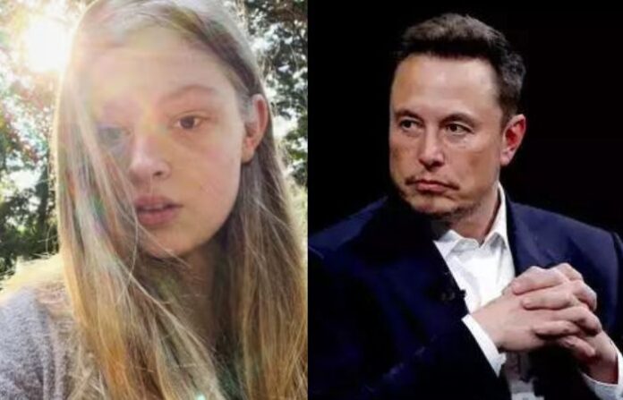 elon musk (1)