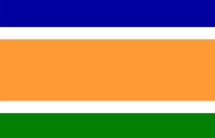 mns-flag