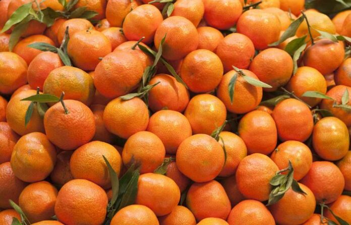 oranges