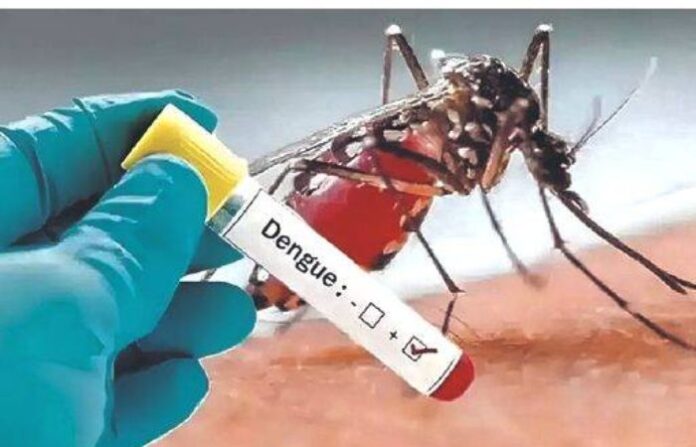 thane dengue news