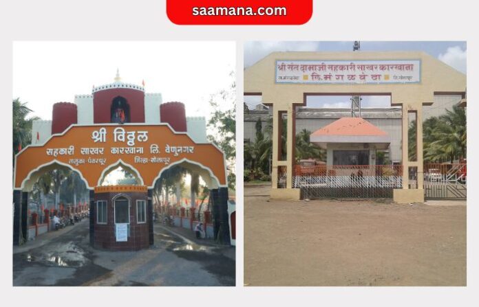 vitthal sahakari sakhar karkhana