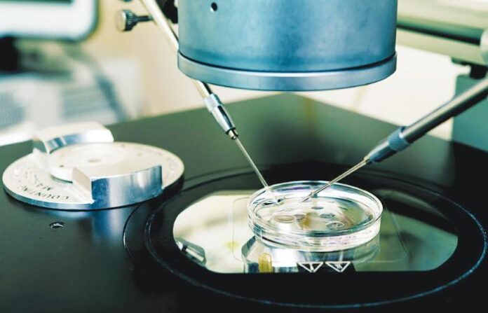 IVF Lab
