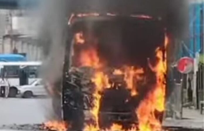 bus